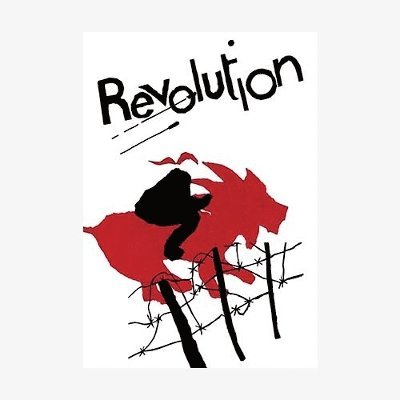 Sara - Revolution, Inbunden