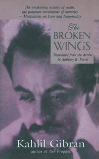 bokomslag The Broken Wings