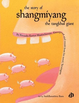 bokomslag Story of Shangmiyang