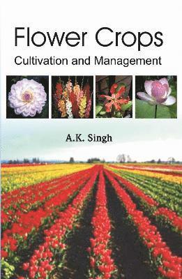 bokomslag Flower Crops: Cultivation and Management