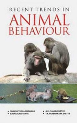 bokomslag Recent Trends in Animal Behaviour