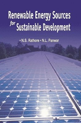 bokomslag Renewable Energy Sources for Sustainable Development