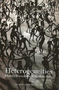 bokomslag Heterogeneities  Identity Formations in Modern India