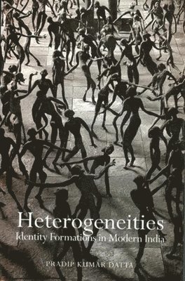 bokomslag Heterogeneities - Identity Formations in Modern India