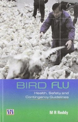 Bird Flu 1