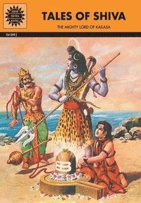 bokomslag Tales of Shiva