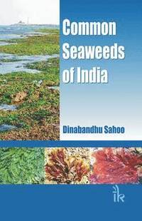 bokomslag Common Seaweeds of India