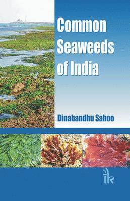 Common Seaweeds of India 1