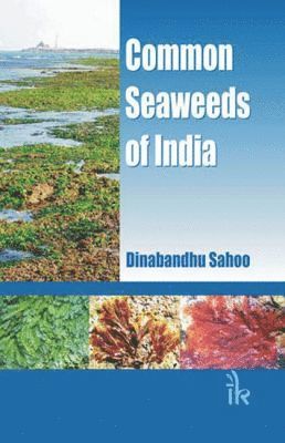 Dinabandhu Sahoo - Common Seaweeds of India, Inbunden