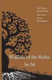 bokomslag Wisdom of the Rishis