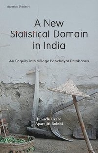 bokomslag New Statistical Domain in India