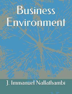 J Immanuel Nallathambi - Business Environment, Häftad