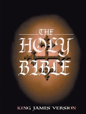 bokomslag The Holy Bible