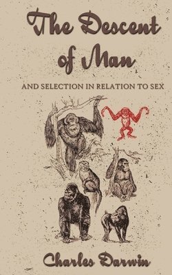 Descent of Man