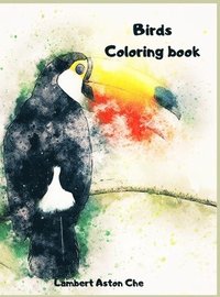 bokomslag Bird Coloring book
