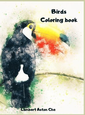 bokomslag Bird Coloring book