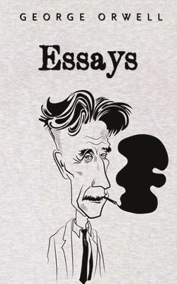 bokomslag Essays