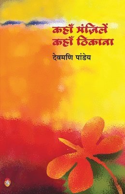 कहाँ मंज़िलें कहाँ ठिकाना