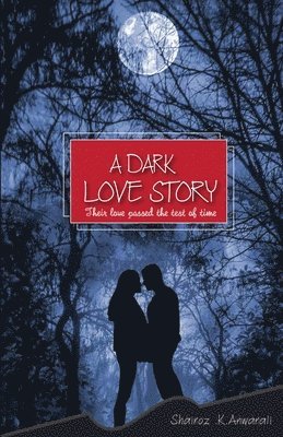 bokomslag Dark Love Story
