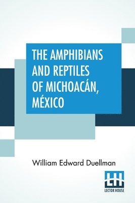 bokomslag Amphibians And Reptiles Of Michoacán, México