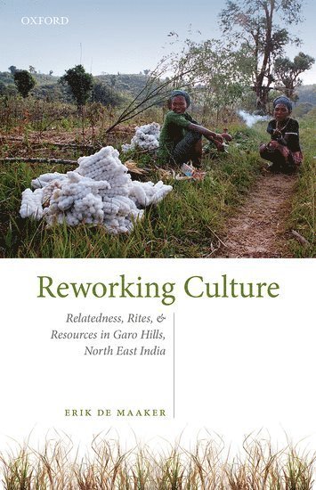 bokomslag Reworking Culture