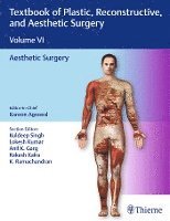 bokomslag Textbook Of Plastic, Reconstructive, And Aesthetic Surgery, Vol 6