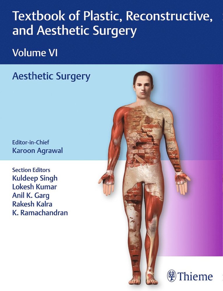 Textbook of Plastic, Reconstructive, and Aesthetic Surgery, Vol 6 1