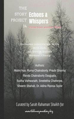 bokomslag The Story Project 14: Echoes & Whispers: Voices from Another World