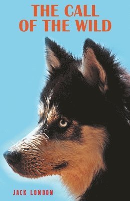 Jack London, London ,Jack - Call of the Wild, Häftad