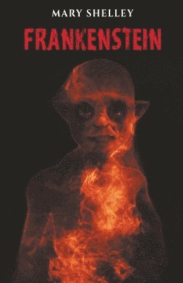 bokomslag Frankenstein
