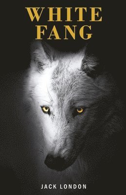 London Jack, Jack London, London ,Jack - White Fang, Häftad
