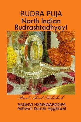 bokomslag Rudra Puja North Indian Rudrashtadhyayi