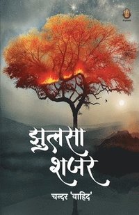 bokomslag &#2333;&#2369;&#2354;&#2360;&#2366; &#2358;&#2332;&#2352;