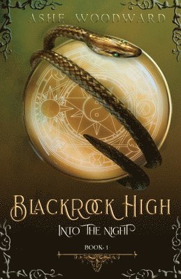 bokomslag Blackrock High