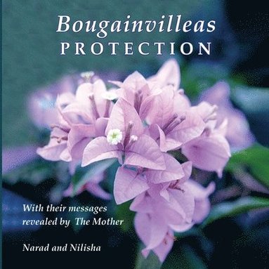 bokomslag Bougainvilleas PROTECTION