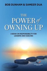 bokomslag Power of Owning Up
