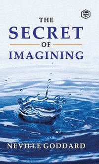 bokomslag Secret Of Imagining