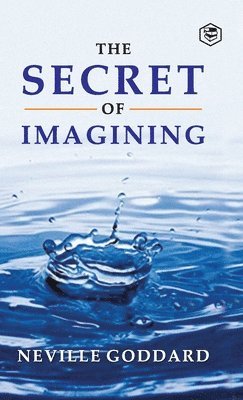 bokomslag Secret Of Imagining