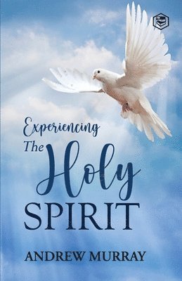 Experiencing the Holy Spirit 1