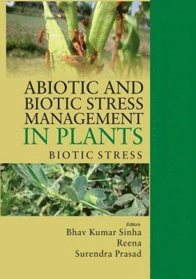 Reena & Surendra Prasad, Bhav Kumar Sinha, Bhav Kumar Sinha, Reena, Surendra Prasad - Abiotic and Biotic Stress Management in Plants: Volume 02, Häftad