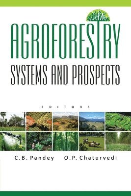 C. B. Pandey & O. P. Chaturvedi, C. B. Pandey, O. P. Chaturvedi - Agroforestry, Häftad