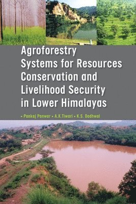 bokomslag Agroforestry Systems for Resource Conservation and Livelihood Security in Lower Himalayas