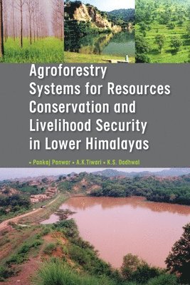 P. Panwar, A. K. Tiwari, K. S. Dadhwal - Agroforestry Systems for Resource Conservation and Livelihood Security in Lower Himalayas, Häftad