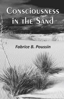 Consciousness in the Sand 1