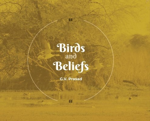 Birds and Beliefs 1