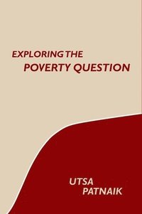 bokomslag Exploring the Poverty Question