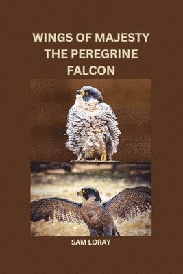 bokomslag Wings of Majesty: The Peregrine Falcon