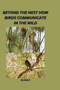 bokomslag Beyond the Nest: How Birds Communicate in the Wild