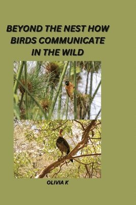 Olivia K - Beyond the Nest: How Birds Communicate in the Wild, Häftad