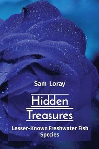 bokomslag Hidden Treasures